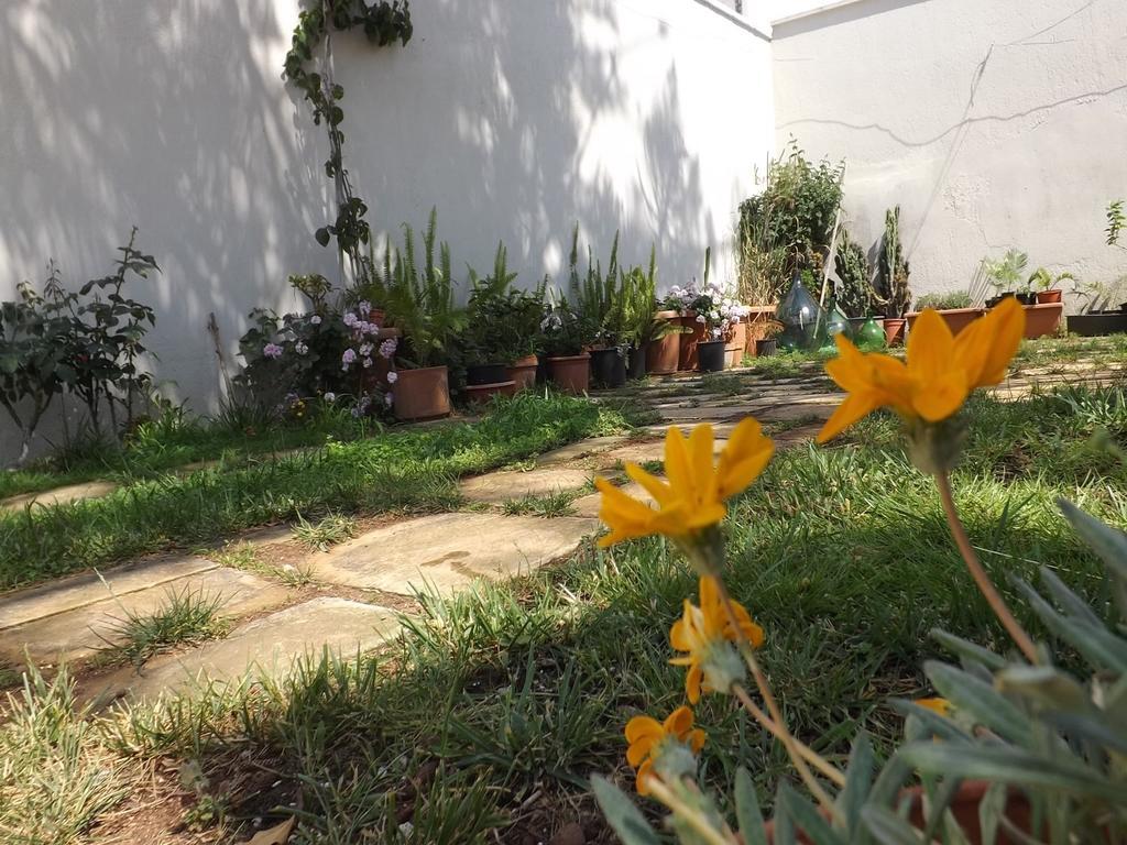 Bed and Breakfast Araucaria Torre San Giovanni Exterior foto